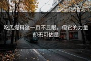 吃瓜爆料这一页不显眼，但它的力量却无可估量