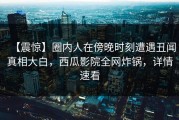 【震惊】圈内人在傍晚时刻遭遇丑闻真相大白，西瓜影院全网炸锅，详情速看